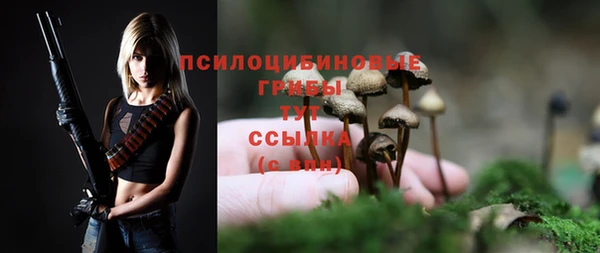 шишки Алексеевка