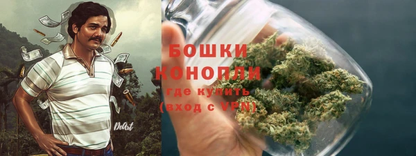 шишки Алексеевка