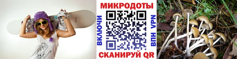 Галлюциногенные грибы MAGIC MUSHROOMS  Северская 
